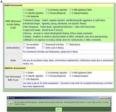 Image result for Behavioral Activity Rating Scale