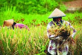 Sedangkan gambar kerja adalah gambar yang mempunyai. Kementan Kenaikan Ntp Berkat Kerja Keras Petani Republika Online