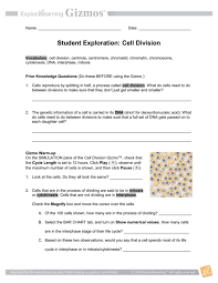 We did not find results for: Cell Division Explore Learning
