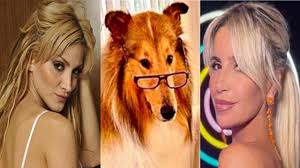 Las visitas polémicas a la Quinta de Olivos: los casos de Sofía Pacchi, el  adiestrador de Dylan y los actores