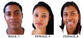 PDF) Race, Legacy, and Lineage in the Dominican Republic: Shifting Paradigms