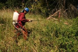 Protect Yourself from Pesticides, Northwest Forest Worker Center