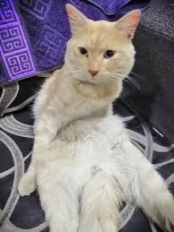 His family left him infront of the building and they move to another The  guard of the building can't keep him till now he is keeping him in a room  next to