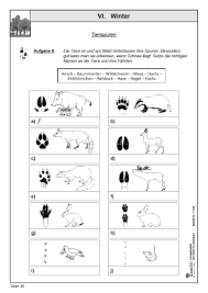 Grundschule tierspuren rätsel arbeitsblatt / arbeitsblatt rätsel zum thema temperatur und thermometer. Lernwerkstatt Der Wald Im Jahreslauf