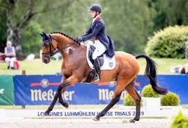 Julia krajewski creates history with individual eventing olympic title at tokyo 2020. Neue Schule Julia And Samourai Win At Luhmulen Cci4 For The Second Year On The Trot