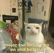 Imagen Sobre Memes Perrones De Brisa Badolato En Frases Memes De Animales Divertidos Memes Originales
