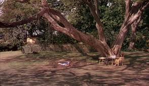 Director jean renoir's entrancing first color feature—shot entirely on location in india—is a visual tour de force. The River 1951 Directed By Jean Renoir