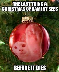 We did not find results for: 45 Hilarious Christmas Memes That Will Have You In Stitches Christmas Connections Blog