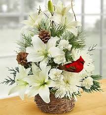 White flower farm® is a registered trademark. 18 White Ideas 800 Flowers Plant Gifts Balloon Flowers