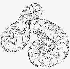 If you want to draw garter snake, follow our tutorial step by step. Western Diamondback Rattlesnake Drawing Free Transparent Png Download Pngkey
