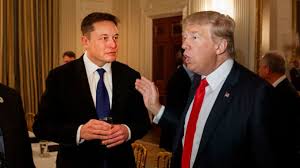 What Is Chloroquine Trump Elon Musk Tout Possible Coronavirus Treatment