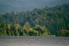 Just getting to palu was a challenge, with cancellation of garuda flights. Nationalpark Lore Lindu Wikipedia