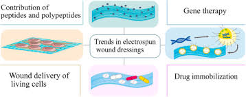 Tak lama lagi bertemu, tak lama lagi bertemu. Bioactive Electrospun Scaffolds For Wound Healing Applications A Comprehensive Review Sciencedirect