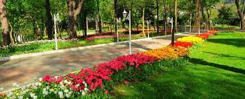 Check spelling or type a new query. Beykoz Korusu Ve Koru Sosyal Tesisleri Nasil Gidilir Yeme Icme