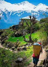 Top 10 Most Popular Hill Stations In Uttarakhand Uttarakhand India Travel Places Beautiful Nature