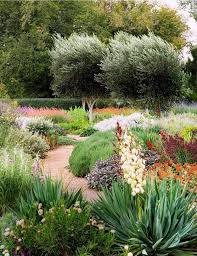 Pin By Maria On Garden Australian Garden Waterwise Garden Drought Tolerant Garden