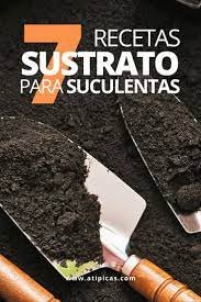 1.2 propiedades físicas de los sustratos. 7 Recetas De Sustrato Casero Para Suculentas Y Cactus Suculentas Propagacion De Plantas Suculentas Cuidado De Suculentas