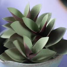 How To Make Paper Succulent Free Pdf And Svg Template Vozeli Com