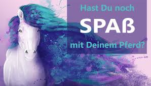 Hast Du Noch Spass Mit Deinem Pferd Oder Warum Reitest Du Eigentlich Herzenspferd