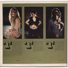 Gtos could mean girls together orally or girls together only or maybe girls together outrageously. Permanent Damage By Gto S Girls Together Outrageously Lp Gatefold With Ubik76 Ref 2300093156