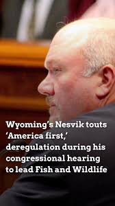 Brian Nesvik, the Trump administration's appointee to direct the U.S. Fish  and Wildlife Service, completed his first confirmation hearing before a  congressional committee