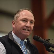 Politics podcast: Barnaby Joyce at his provocative best
