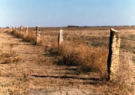 The fence company of kansas city specializes in fence installations of all styles and sizes for both residential and commercial locations. Post Rock Cutting Kansas Folk Art Kansapedia Kansas Historical Society