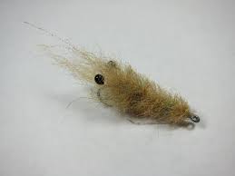 smartt s shrimp saltwater flies steelhead flies red fish pinterest