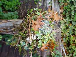 Naturdeko Fur Den Garten Aus Dem Wald Herbst Dekoration Herbstdeko Selber Machen Glucksbringer Selber Machen