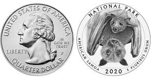How much do pet bats cost. 7 Things To Know About The Amazing Fruit Bat Quarters