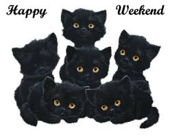 Find gifs with the latest and newest hashtags! Pin On Happy Weekend