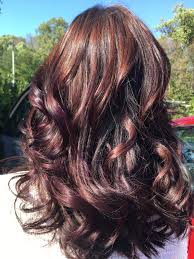 Violet Burgundy And Dark Brown Balayage Brown Hair Balayage Balayage Hair Brown Balayage