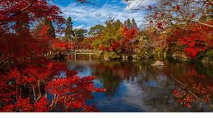 Japanese gardens are famous the world over for being uniquely beautiful. 33 Japanese Garden Landscaping Ideas Ways To A Perfect Balance