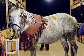 Horse Fancy Dress Ideas Red Indian Horse Costumes Horse Fancy Dress Horse Halloween Costumes
