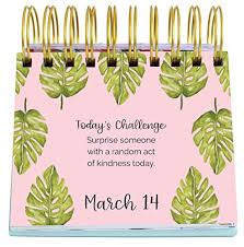 Bloom Daily Planners Undated Perpetual Desk Easel Inspirational Standing Flip Calendar 5 25 X 5 5 The Best Is Yet To Come Financial Lifestyle Bloom Planner Flip Calendar The Best Is