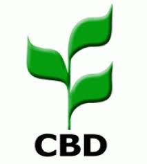 Definition Convention On Biological Diversity Cbd