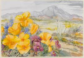 El Paso Museum of Art