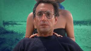 Canadian man rescued after being mistaken for seal