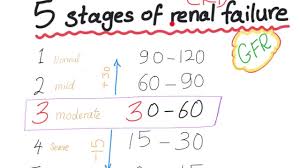 Mnemonic The 5 Stages Of Chronic Kidney Disease Based On Gfr