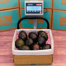 Image result for Dark Avocado 1972 Philco