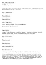 Image result for Dipcadi vaginatum