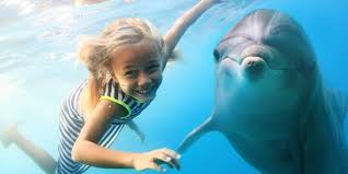 However, there are also plenty of unusual and unique accommodations throughout the state where you can experience something different during your trip. Florida Bucket List Top 50 Things To Do In The Sunshine State