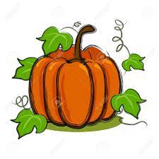 How big is a pumpkin vine vector file? Illustration For Pumpkin With Vines In Art Brush And Isolated Stock Photo Picture And Royalty Free Image Image 11340052