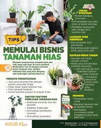 Tanaman hias menjadi primadona karena keindahan bentuk bunga dan daunnya. Tips Memulai Bisnis Tanaman Hias
