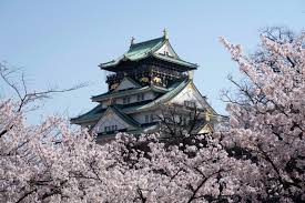 Japan's sakura (cherry blossom) season gave photographer will fearon plenty to contemplate and capture on his travels through the country. 2019 Edition Spring Is Here 10 Great Osaka Parks For Hanami Picnics