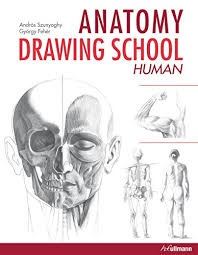 Because the skeleton is the framework that the rest of the human body is built on. 9783848004737 Anatomy Drawing School Human Body 1 Abebooks Szunyoghy Andras Feher Gyorgy 3848004739