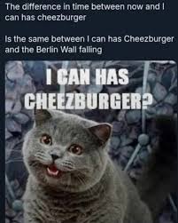 Image result for i can has cheezburger