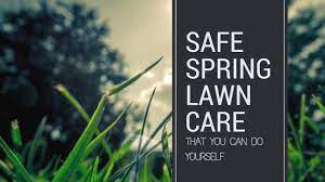 And, don't be too hard on yourself if your lawn does sport these bare areas because everything from. Safe Spring Lawn Care Tips That Work And You Can Do Yourself