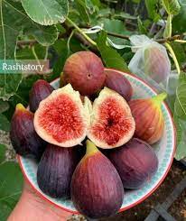 Bangsat banget lu jadi orang! Raina M K On Twitter Yes Anjir When Are You Going To Malaysia