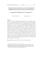 Pdf Evaluation Of Growth Performance And Breeding Habits Of Fighting Fish Betta Splendens Under 3 Diets And Shelters